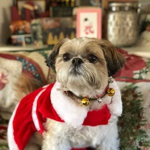 Meet your Posher, Lori